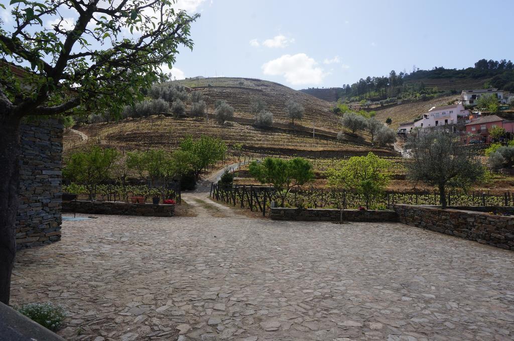 Quinta Madureira Villa Alfoloes Kültér fotó