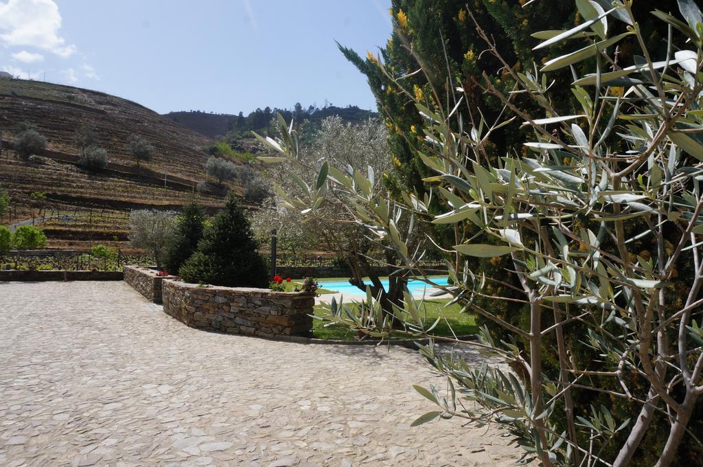 Quinta Madureira Villa Alfoloes Kültér fotó